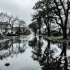 Flood Damage Restoration Leads: A Growing Opportunity for Roofing Contractors related image