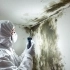 Mold Remediation Lead Generation: Expanding Beyond the Roof related image